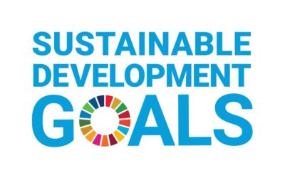United Nations 17 Sustainable Development Goals (SDGs)