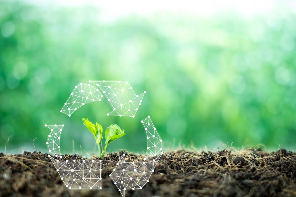White paper: Biodegradability explained