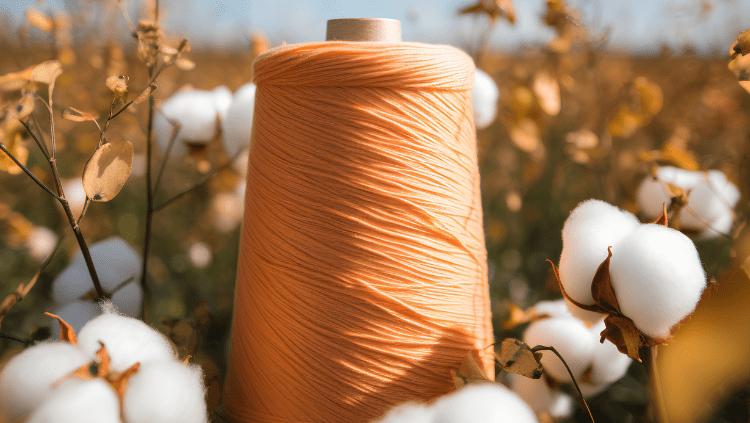 Webinar: From Policy to Practice | How to prepare and respond to UFLPA requirements and detentions of cotton products