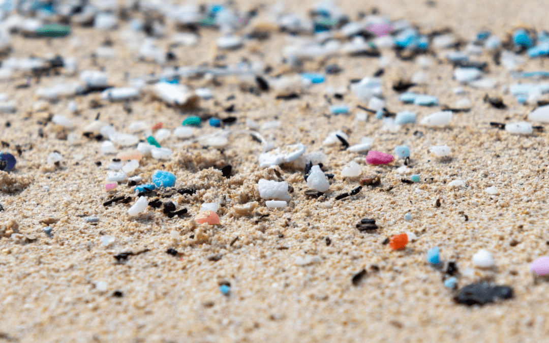 Why microplastic testing matters for environmental impact?