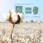 Origin ID Cotton Origin Verification