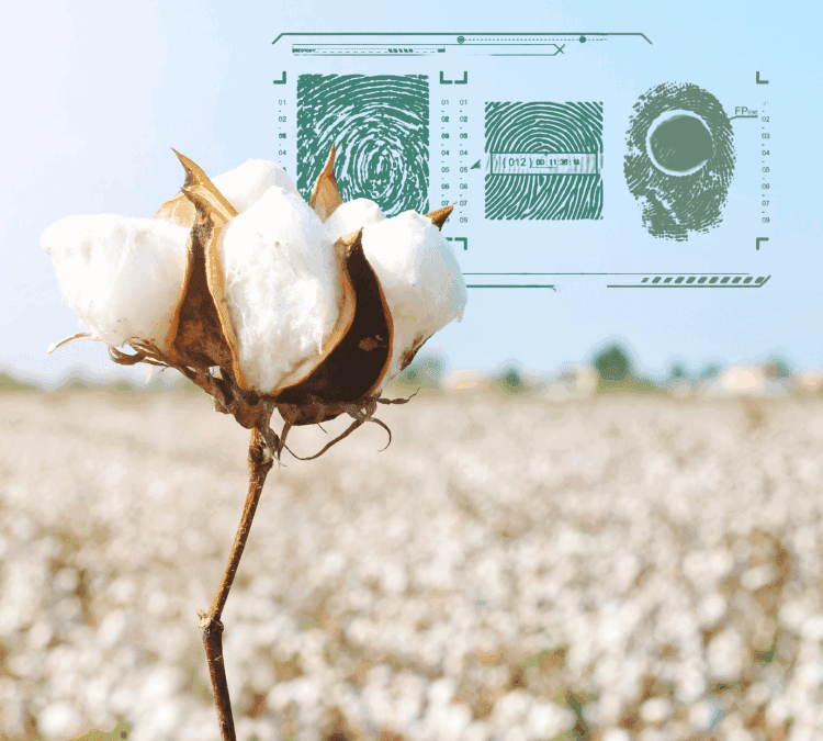 Origin ID – A new approach to cotton origin verification