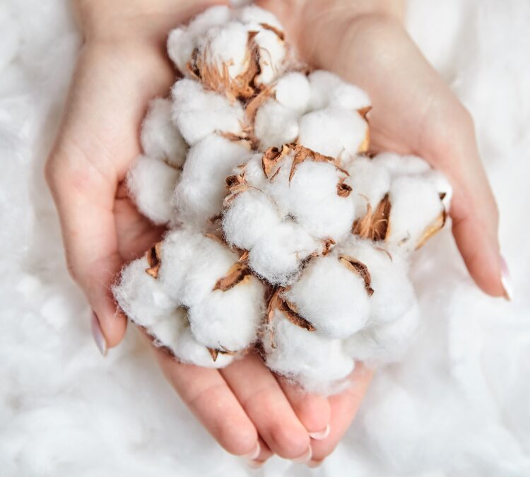 Cotton Origin Verification: Strengthening Supply Chain Traceability
